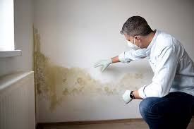 Best Water Damage & Mold Remediation  in Brambleton, VA